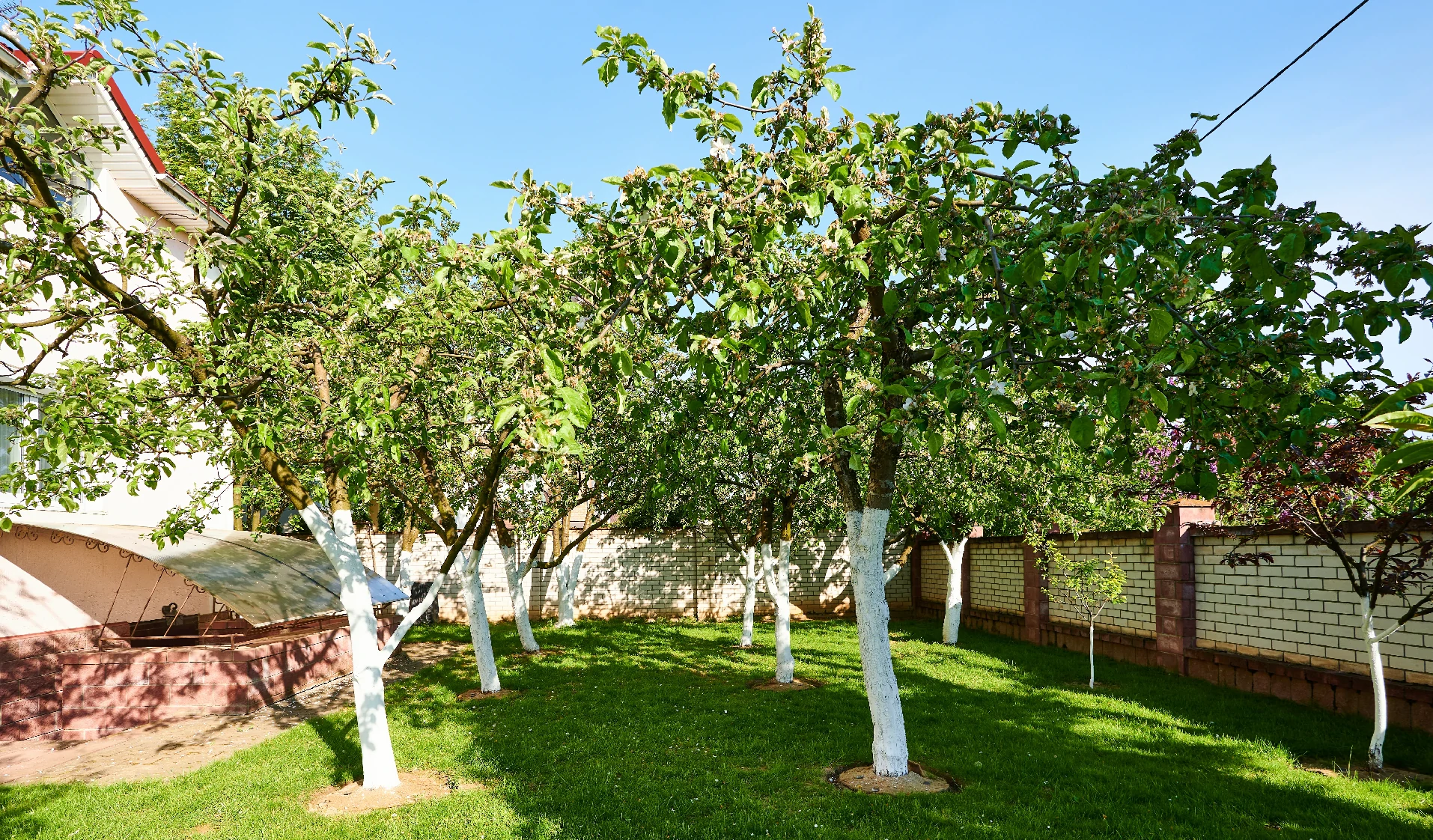 The Guest House